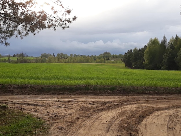 Foto vista panoramica di un campo agricolo contro il cielo