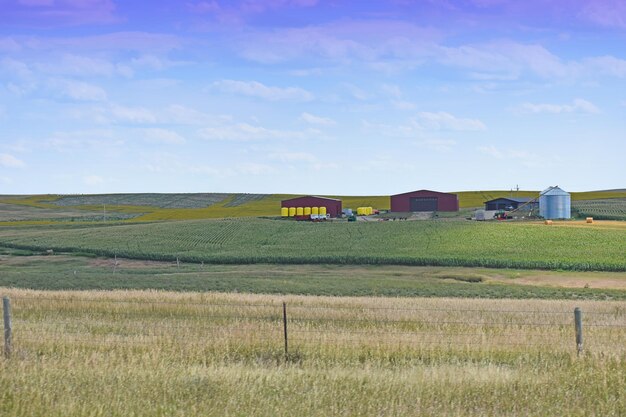 Photo scenic view of agricultural field against sky