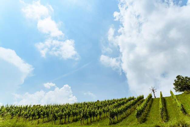 Photo scenic view of agricultural field against sky