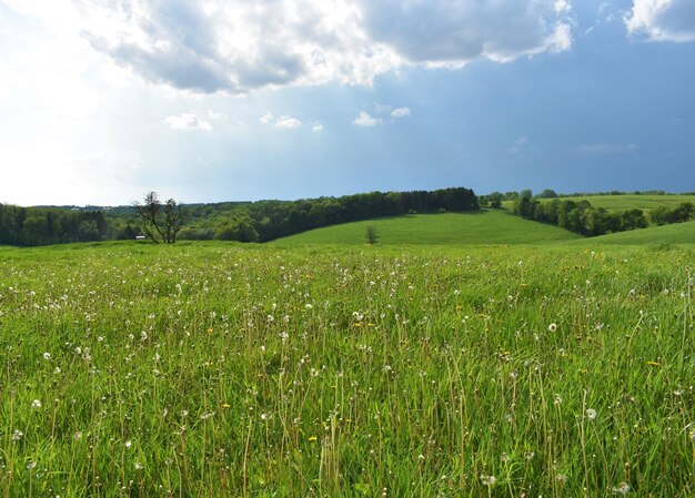 Photo scenic view of agricultural field against sky