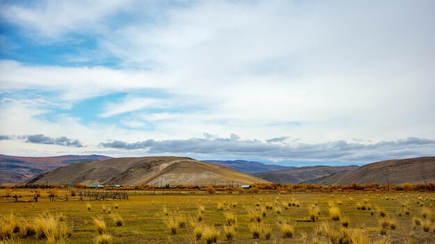 Photo scenic view of agricultural field against sky