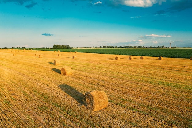 Foto vista panoramica di un campo agricolo contro il cielo