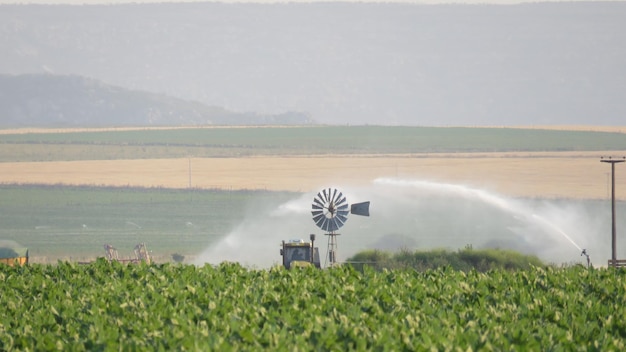 Foto vista panoramica di un campo agricolo contro il cielo