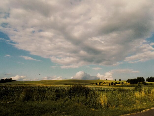 Foto vista panoramica di un campo agricolo contro il cielo