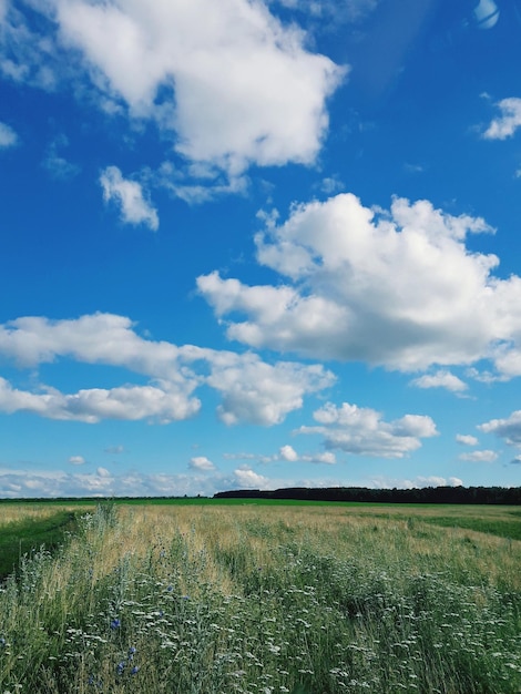 Photo scenic view of agricultural field against sky