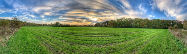 Foto vista panoramica di un campo agricolo contro il cielo