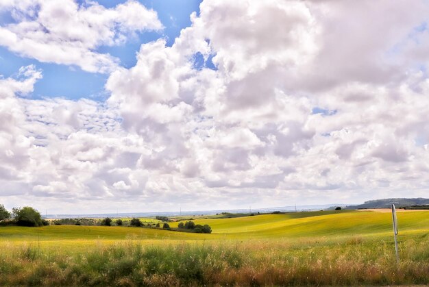 Photo scenic view of agricultural field against sky