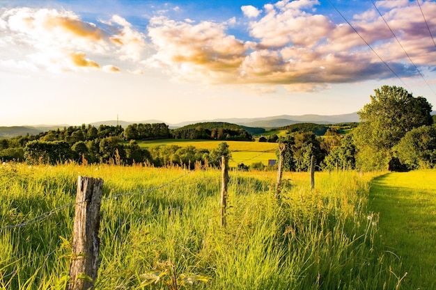 Foto vista panoramica di un campo agricolo contro il cielo