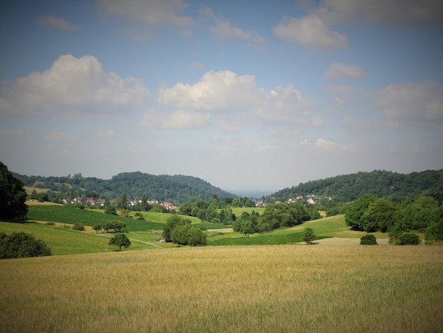 Foto vista panoramica di un campo agricolo contro il cielo