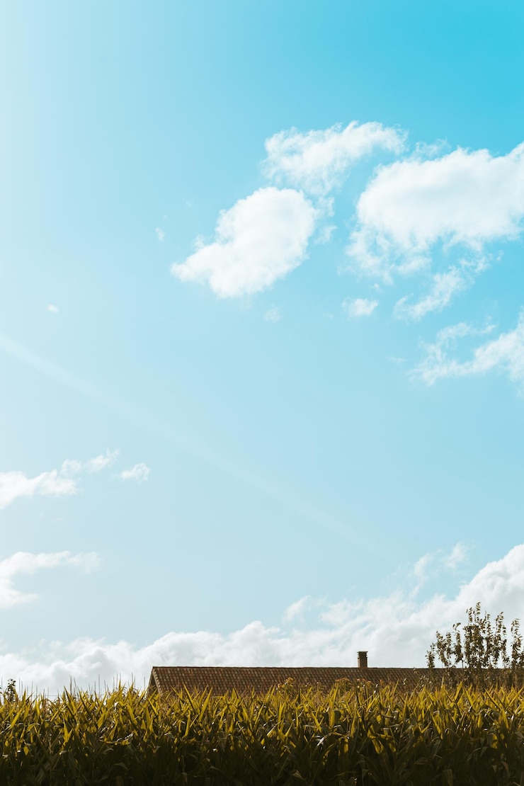Photo 空の背景にある農地の景色