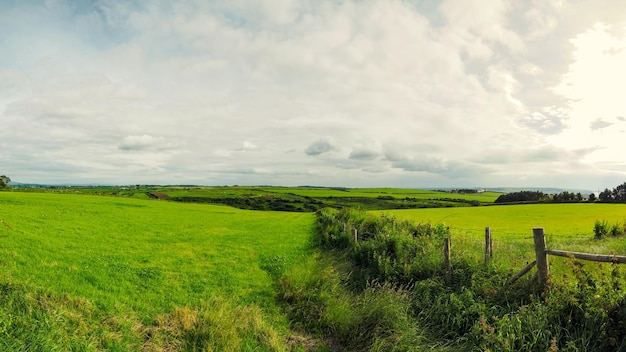 Foto vista panoramica di un campo agricolo contro il cielo