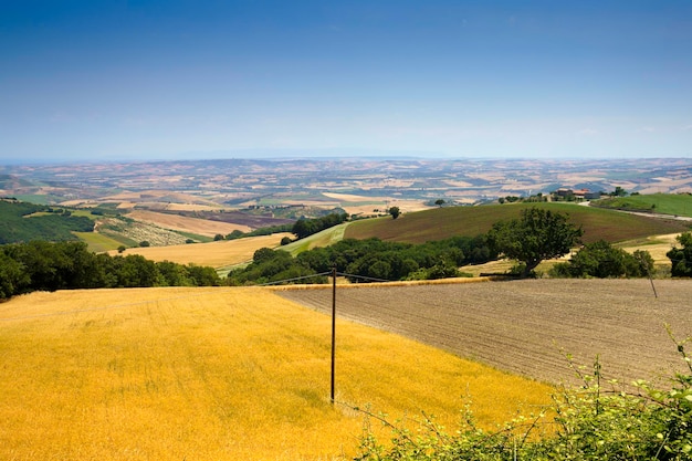 Foto vista panoramica di un campo agricolo contro il cielo