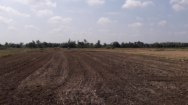 Foto vista panoramica di un campo agricolo contro il cielo