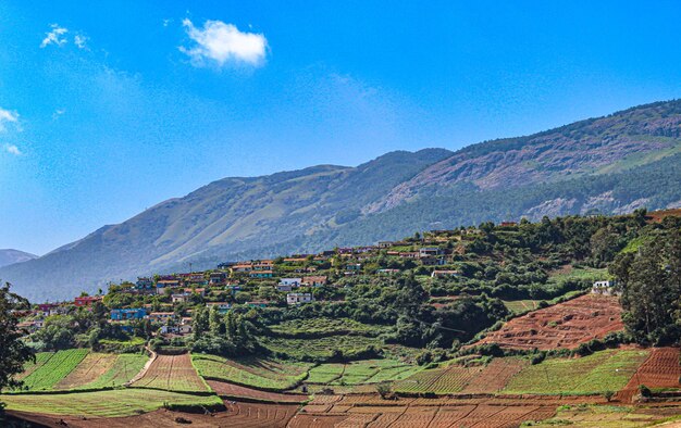 Scenic view of agricultural field by mountains against blue sky