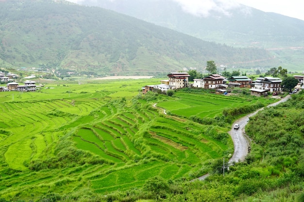 Photo scenic view of agricultural field and houses against mountains