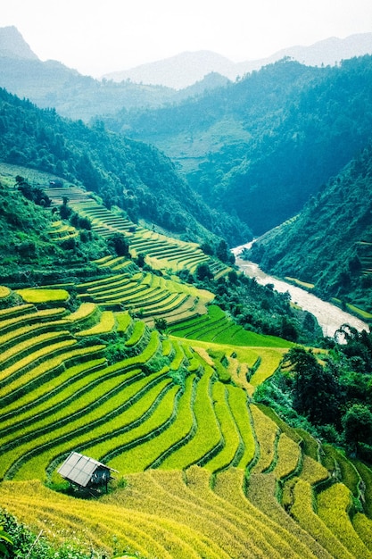 Scenic view of agricultural field and mountains against sky