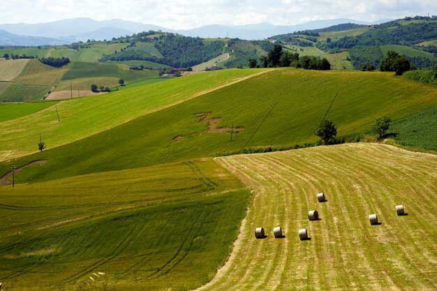 Foto vista panoramica di un campo agricolo