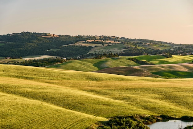 Foto vista panoramica di un campo agricolo