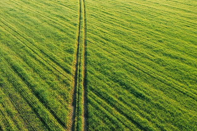 Foto vista panoramica di un campo agricolo