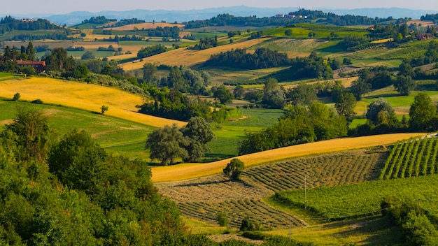 Foto vista panoramica di un campo agricolo