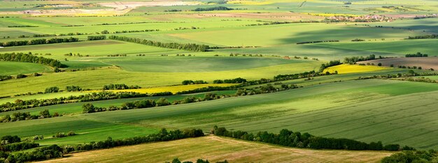 Foto vista panoramica di un campo agricolo