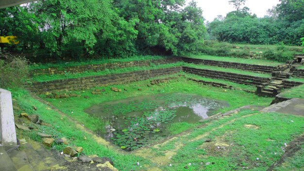 Scenic view of agricultural field