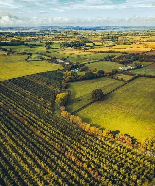 Foto vista panoramica di un campo agricolo