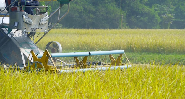 Photo scenic view of agricultural field