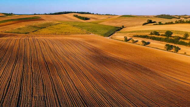 Foto vista panoramica di un campo agricolo