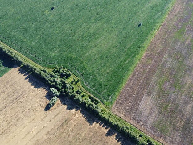 Scenic view of agricultural field