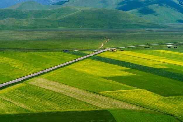 Scenic view of agricultural field