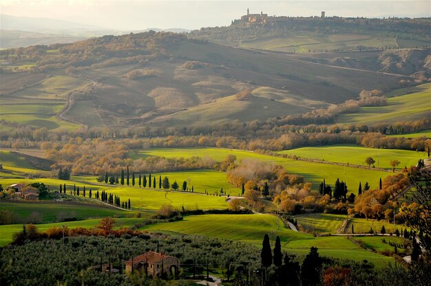 Foto vista panoramica di un campo agricolo