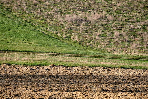 Foto vista panoramica di un campo agricolo
