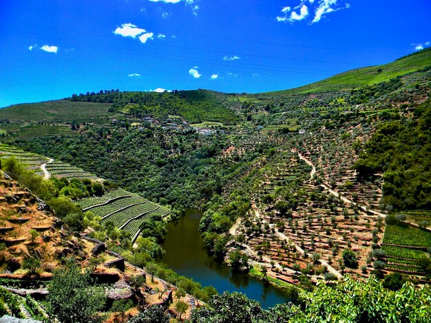 Scenic view of agricultural landscape against blue sky