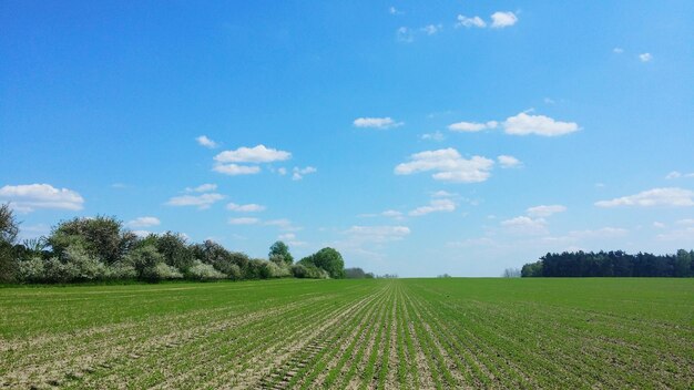Foto vista panoramica del paesaggio agricolo contro il cielo