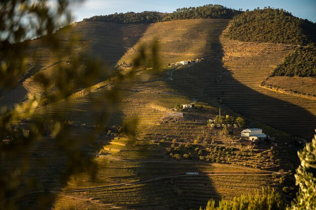 Scenic view of agricultural landscape against sky