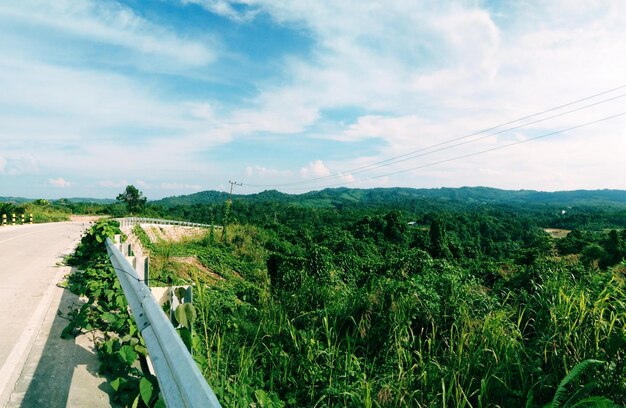 Scenic view of agricultural landscape against sky