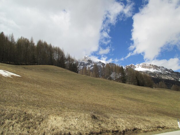 Scenic view of agricultural landscape against sky