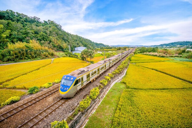 Scenic view of agricultural landscape against sky