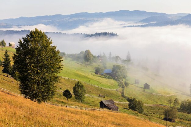 Scenic view of agricultural landscape against sky