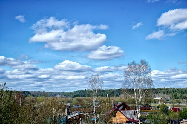 Scenic view of bare trees against sky