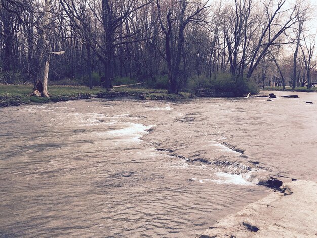 Photo scenic view of bare trees next to river