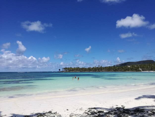 Scenic view of beach against blue sky