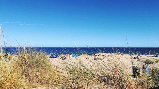 Scenic view of beach against blue sky