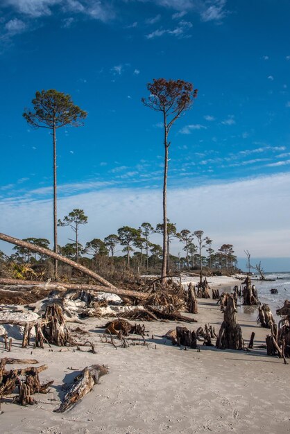 Scenic view of beach against blue sky