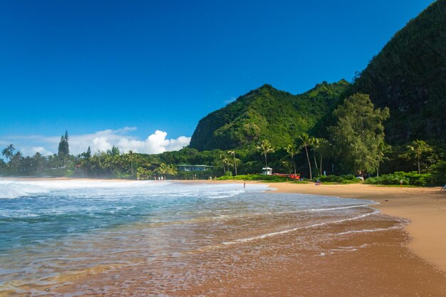 Scenic view of beach against blue sky