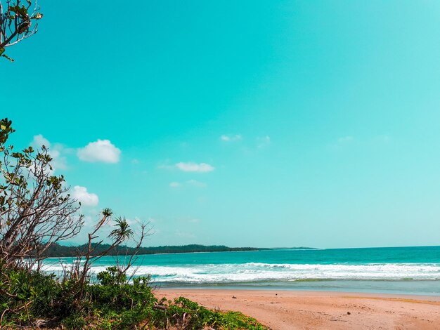 Scenic view of beach against blue sky