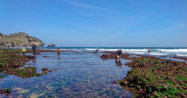 Photo scenic view of beach against blue sky