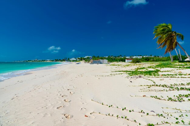 Scenic view of beach against blue sky