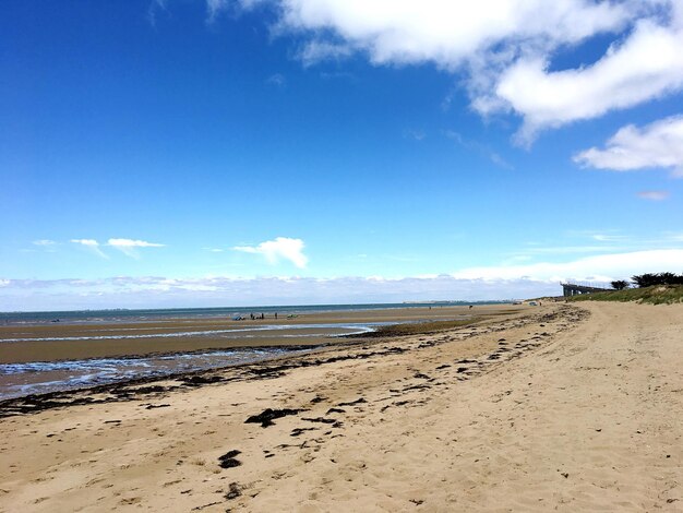 Scenic view of beach against blue sky